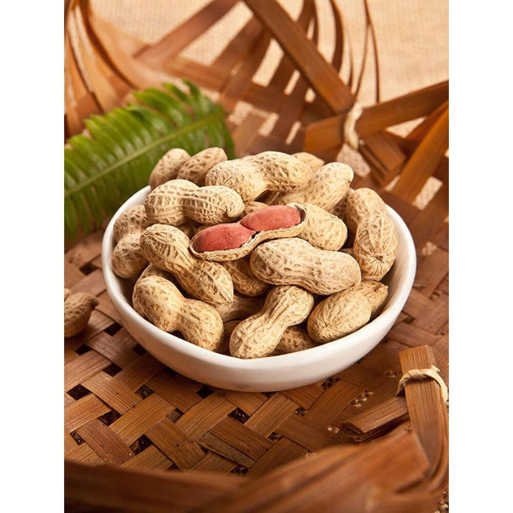 雋顏堂童年記五香瓜子 500g大包裝，帶你重溫湖南風味