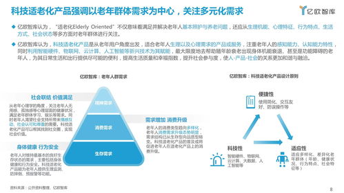 《2021中國(guó)科技適老化產(chǎn)品研究報(bào)告》——信息技術(shù)咨詢(xún)服務(wù)的角色與展望